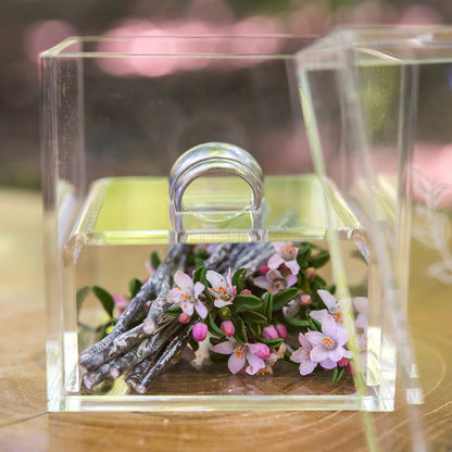 The Adventure Begins Personalized Lucite Wedding Ring Box - Tea and Becky